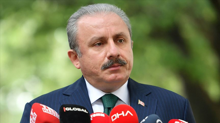 Թուրքիայի խորհրդարանի նախագահը ժամանել է Բաքու