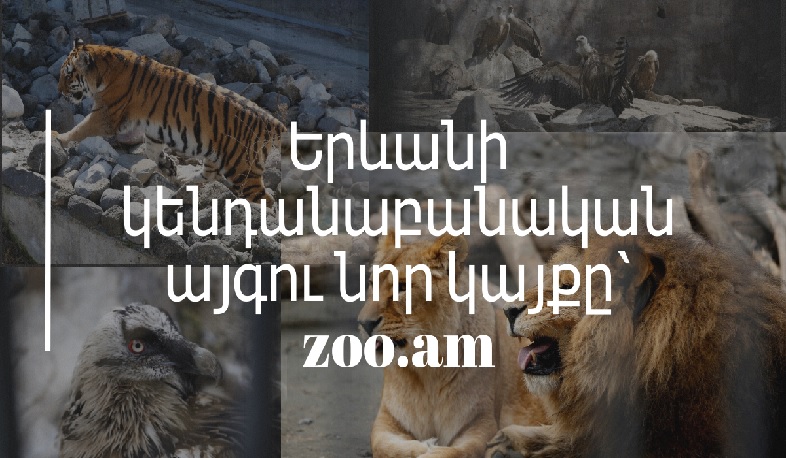Երևանի կենդանաբանական այգին նոր կայք ունի