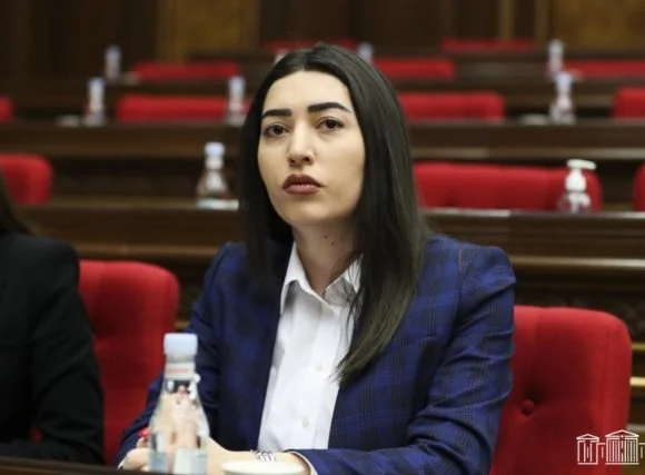 Հույս ունեմ, որ Արփինե Սարգսյանը կստանձնի ՆԳ նախարարի տեղակալի պաշտոնը. Նիկոլ Փաշինյան