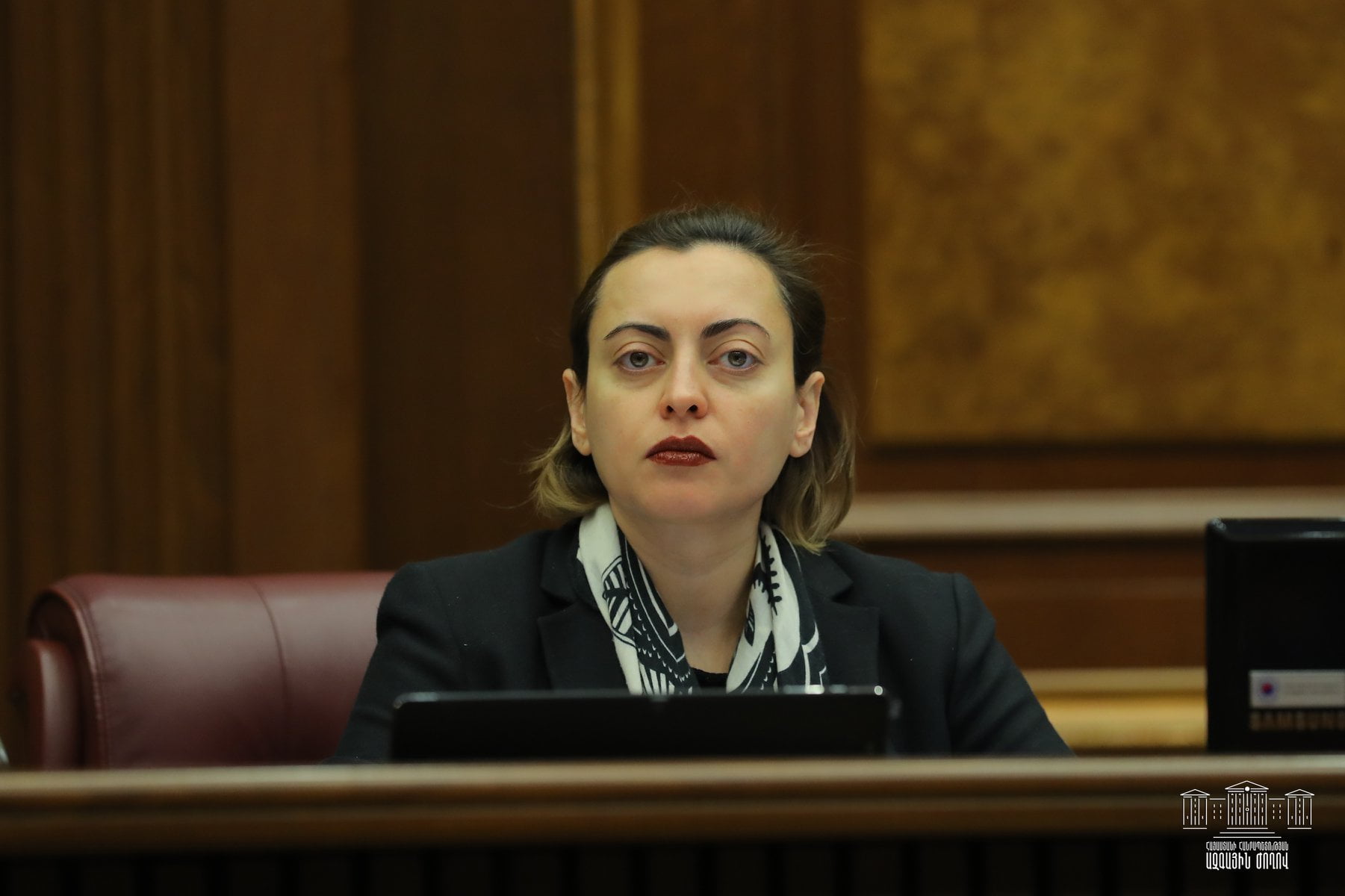 Եթե զգում եք, որ չեք կարող պատգամավորին հարիր հարցեր տալ, վերադարձեք ձեր հին փեշակին. Լենա Նազարյան