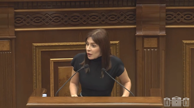 Քյաբաբից շատ խոսեցինք, քանի՞ քյաբաբ եք տվել ՔՊ-ին, որ Վարդևանյանին ընտրեցիք ԱԺ փոխնախագահ. Ագնեսա Խամոյան