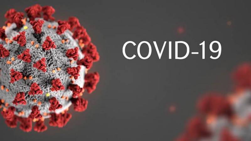 Սամցխե-Ջավախքում հաստատվել է Covid-19-ի 105 նոր դեպք
