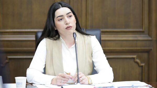ՆԳ նախարարը հայտնեց, թե որն է իր համար 2024 թվականի ամենակարևոր ձեռքբերումը