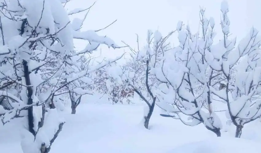 Սպասվում է ձյուն, բուք