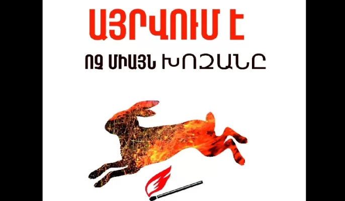 Մի՛ այրեք խոզանները․ ՇՄ նախարարությունը զգուշացնում է