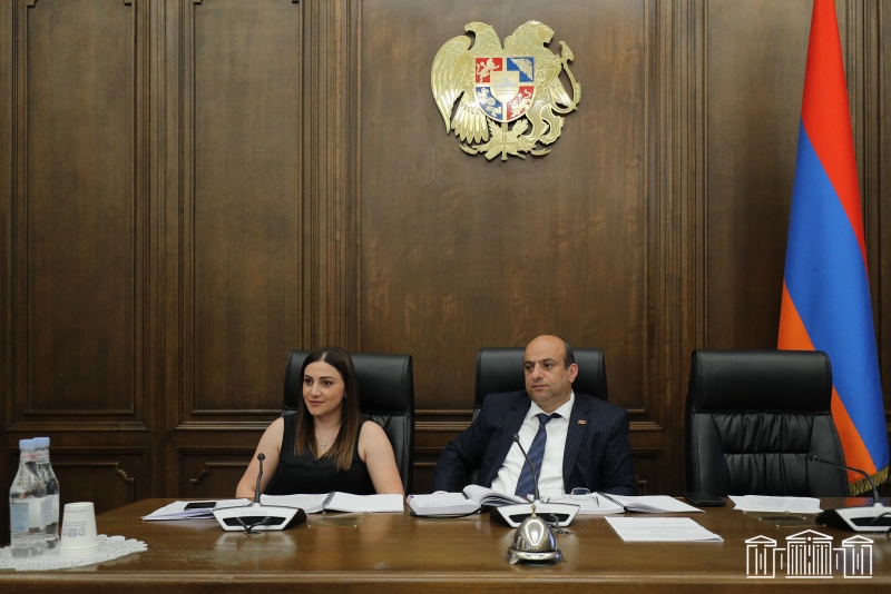 Քննարկվել է տարածքային կառավարման, տեղական ինքնակառավարման, գյուղատնտեսության, շրջակա միջավայրի վերաբերյալ 2022 թ. պետական բյուջեի կատարողականի հաշվետվությունը
