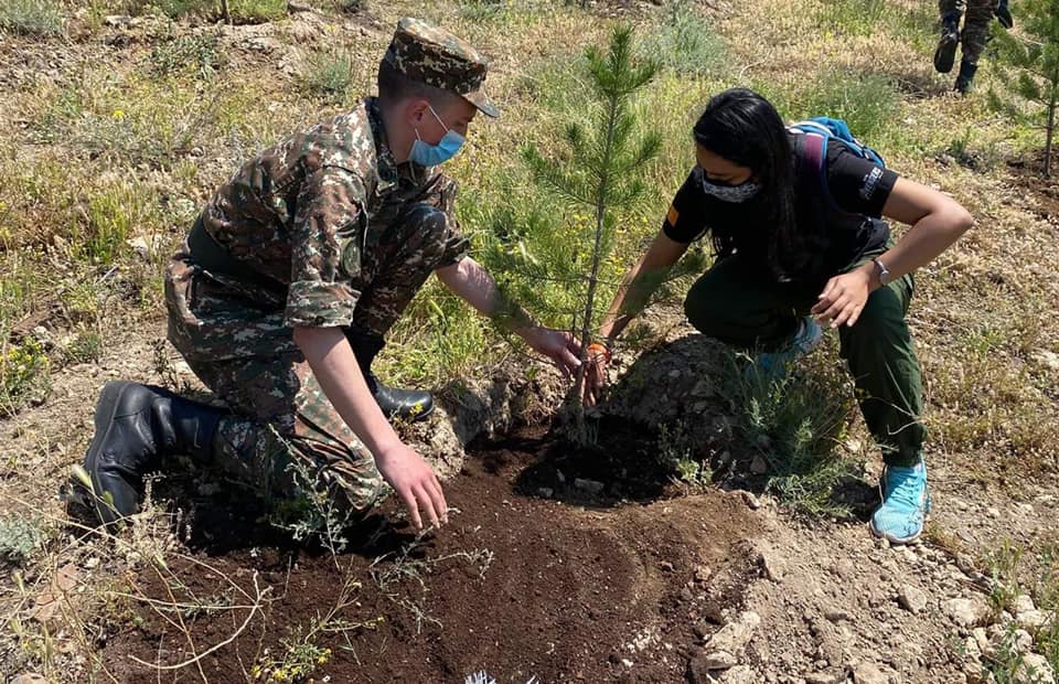 Օտարերկրացի ապագա բժիշկները 100+33 ծառ տնկեցին «Եռաբլուր» զինվորական պանթեոնում (լուսանկարներ)