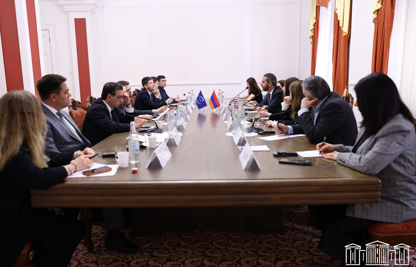 ԱԺ խորհրդարանականներն ու ԵԽԽՎ պատվիրակության անդամները քննարկել են ՀՀ-ում ընթացող քարոզարշավին առնչվող հարցեր