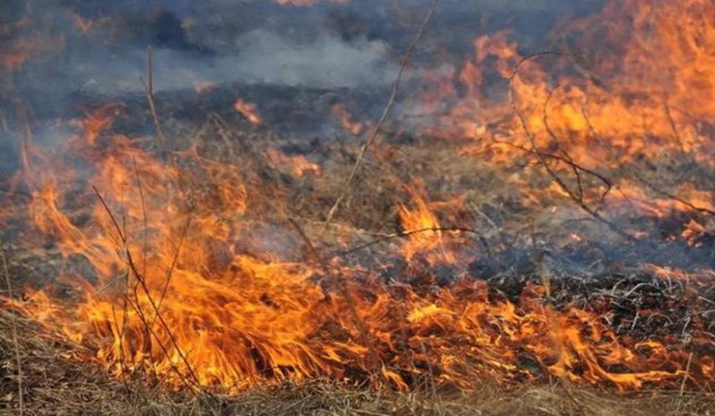 Սևքար գյուղում այրվել է մոտ 30 հա խոտածածկույթ