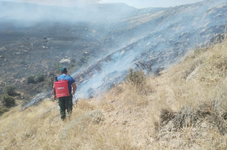 Հրդեհ Աղավնաձոր գյուղում. մոտ 10 հա տարածքում մի քանի օջախներով այրվում է խոտածածկույթ