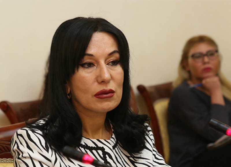 Ինձ ահազանգեցին, որ երեխաները լուրջ խնդիրներով են ծնվում․ Նաիրա Զոհրաբյանը՝ Արծվանիկում թունավոր թափոնների մասին