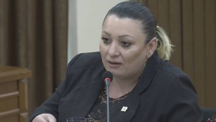 Եթե ես վաղը մի չստերջացված շուն տեսա, կարողա ամբողջ աշխատակազմին ստերջացնեմ․ ավագանու անդամ