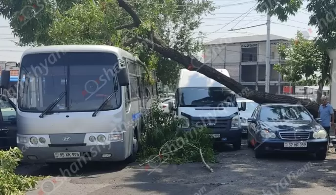 Երևանի Իսակովի պողոտայում հաստաբուն ծառից ճյուղը կոտրվել և ընկել է կայանված «Ford Transit», «Mercedes» մեքենաների և «Hyundai» ավտոբուսի վրա