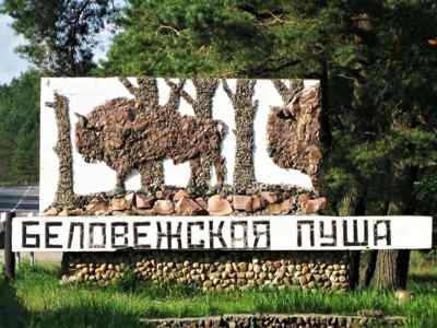 Լեհաստանը սկսել է սահմանային ցանկապատի կառուցումը Բելովեժյան թավուտի տարածքում
