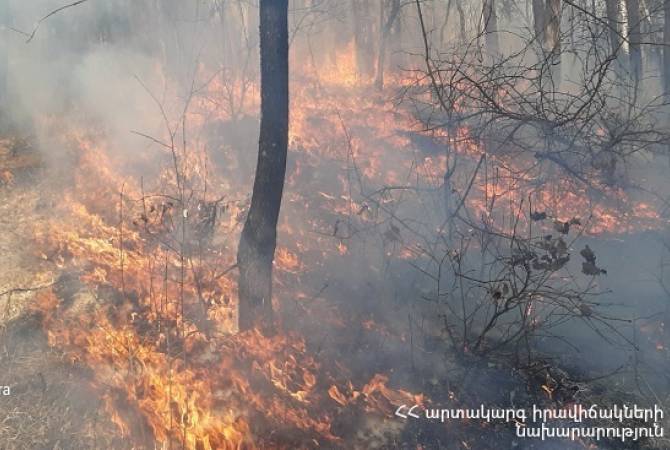 Տավուշի մարզի Ներքին Ծաղկավան գյուղի սկզբնամասում այրվում է մոտ 60 հա խոտածածկ տարածք