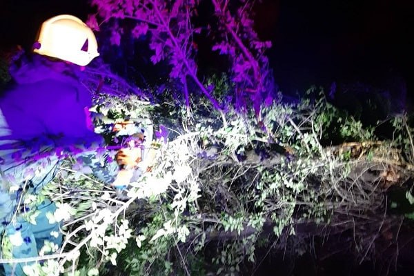 Գյումրիում ծառը կոտրվել է և վնասելով էլեկտրական լարեր ընկել ճանապարհի երթևեկելի հատված