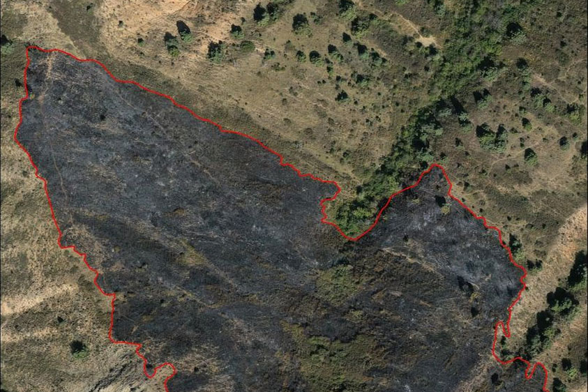 Խոսրովի անտառում այրված տարածքի ընդհանուր մակերեսը կազմում է 3.94 հա