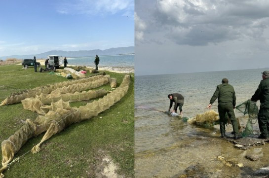 Նորաշենի արգելոցի «Սպիտակ ափ» կոչվող տարածքի ջրային հատվածից հայտնաբերել և դուրս է բերվել ապօրինի տեղադրված խեցգետնաորսիչներ