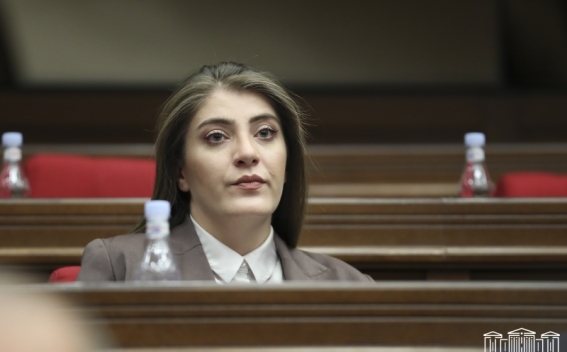 Զավեշտ է, ՔՊ-ից չեք գտնի մարդ, ով Դավիթ Համբարձումյանին կարող է տեսնել վարչապետի թեկնածու. Լիլիթ Մինասյան