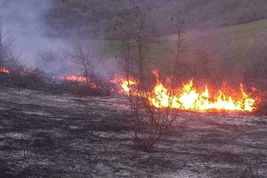 Օխտար գյուղում այրվել է մոտ 5 հա բուսածածկույթ  