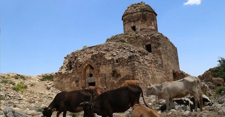 Վանի Սուրբ Թովմաս հայկական լքված վանքը վերածվել է գոմի