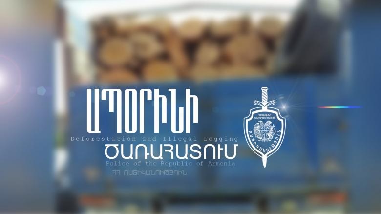 Սյունիքի պարեկները ապօրինի ծառահատման դեպք են բացահայտել