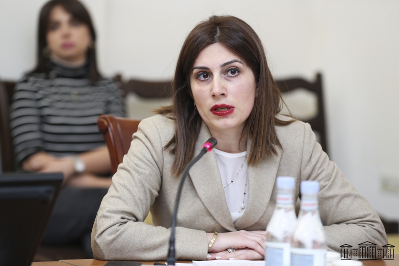 Բուժաշխատողների լիցենզավորումը չի լինելու բուհական թեստային քննություն. նախարար