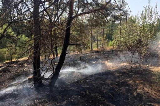 «Ջրվեժ» անտառպարկի տարածքում այրվում է մոտ 2 հա բուսածածկույթ