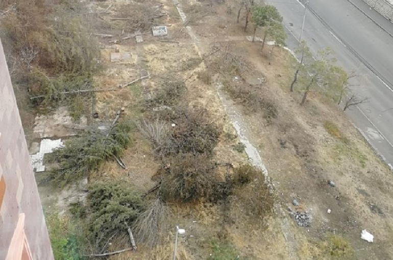 Երևանում ծառեր են հատվել՝ քաղաքապետարանը անզոր է (տեսանյութ)