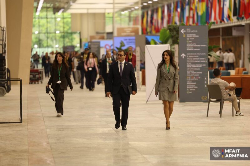 Երևանում COP17-ի շրջանակում նախատեսվում է ավելի քան 30 որոշման ընդունում