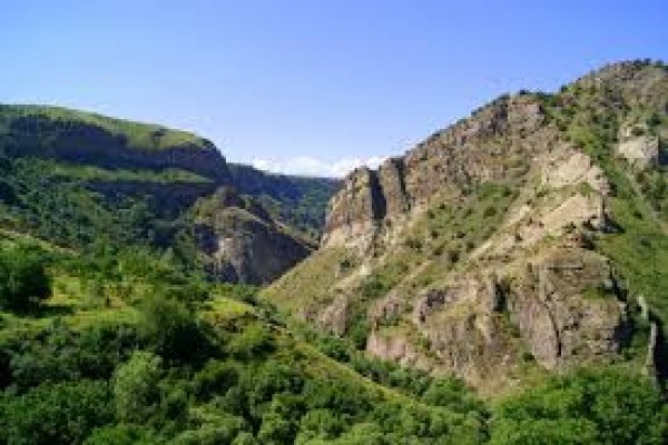 Խոշոր եղջերավոր անասունն ընկել է ժայռից