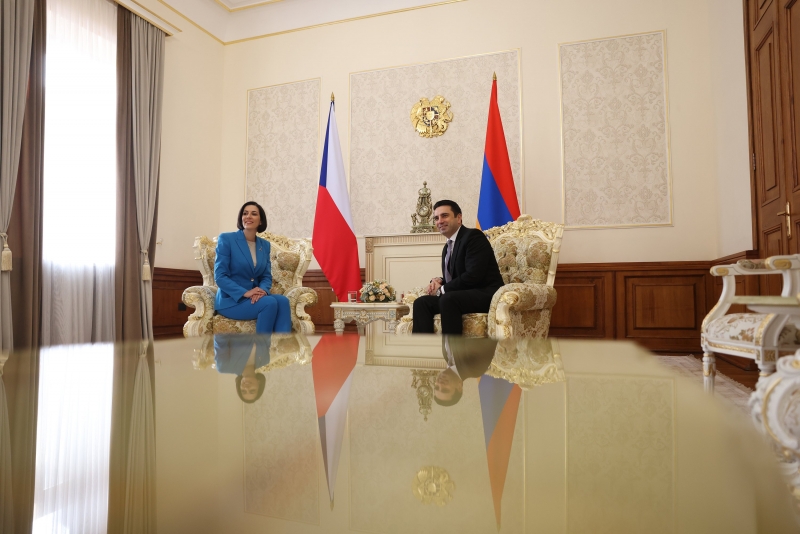 Ալեն Սիմոնյանի հրավերով Հայաստանում էր Չեխիայի Հարապետության խորհրդարանի Պատգամավորների պալատի նախագահը (տեսանյութ)
