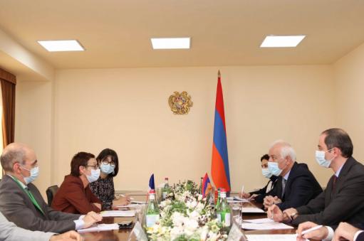 ԲՏԱ նախարարն ու Ֆրանսիայի դեսպանը քննարկել են գործակցության ուղղություններն ու հնարավորությունները