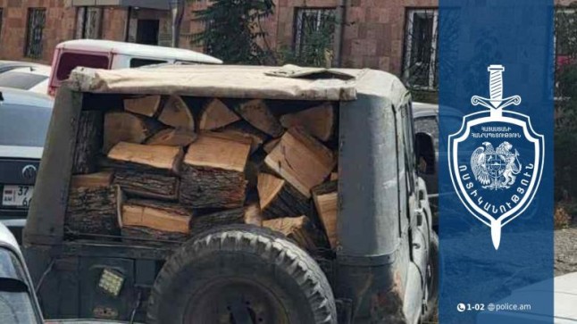 Դիլիջանում ապօրինի ծառահատման դեպք է բացահատվել