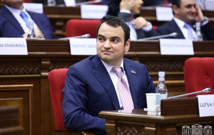 «Խաղաղության պայմանագիր»-ն առանցքային է մեր երկրի զարգացման և մեր հայրենակիցներին Բաքվի բանտերից հետ բերելու համար. Նարեկ Կարապետյան