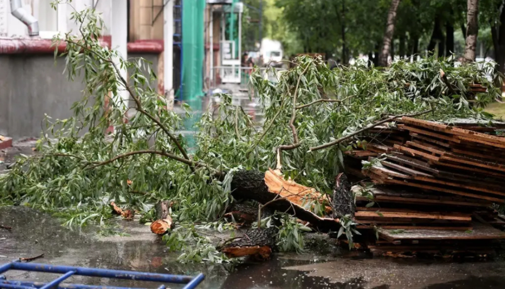 Հորդառատ անձրևի հետևանքով Մոսկվայում տասնյակ ծառեր են տապալվել 