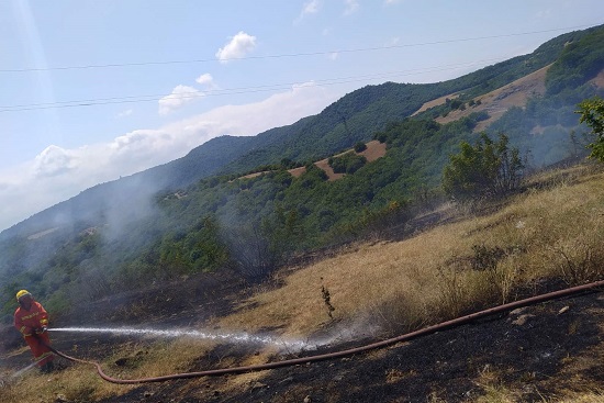 Նորաշեն գյուղում այրվել է մոտ 30 հա խոտածածկույթ