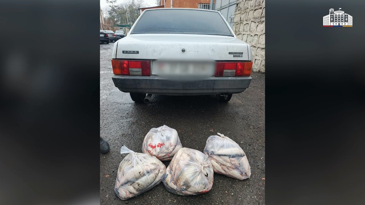 Ջրային պարեկները հայտնաբերել են սիգ տեսակի 110 ձուկ