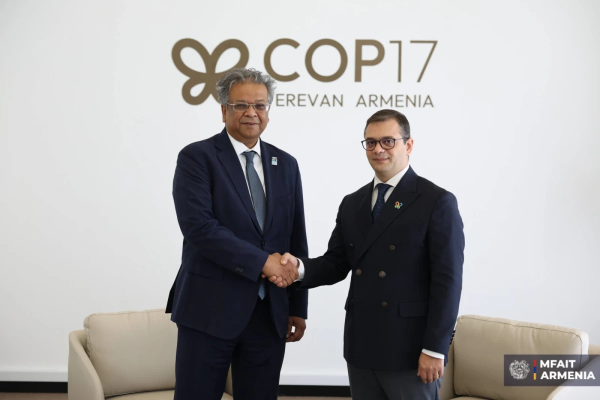 Քննարկվել են Հայաստանի և ՅՈՒՆԵՍԿՕ-ի միջև համագործակցությանն առնչվող հարցեր