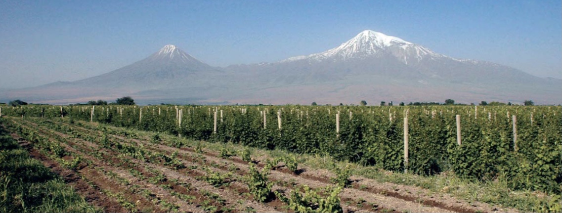 2024 թ. գյուղատնտեսության ոլորտում 5 ծրագրի շրջանակում նախատեսվում է իրականացնել 36 միջոցառում