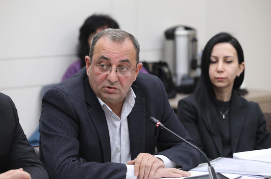 ԱԺ կողմից նման հայտարարության ընդունումը չափազանց կարևորում է նաև միջազգային հարթակում արցախյան հարցի հետևողականության ցուցաբերման առումով․ Մինասյան