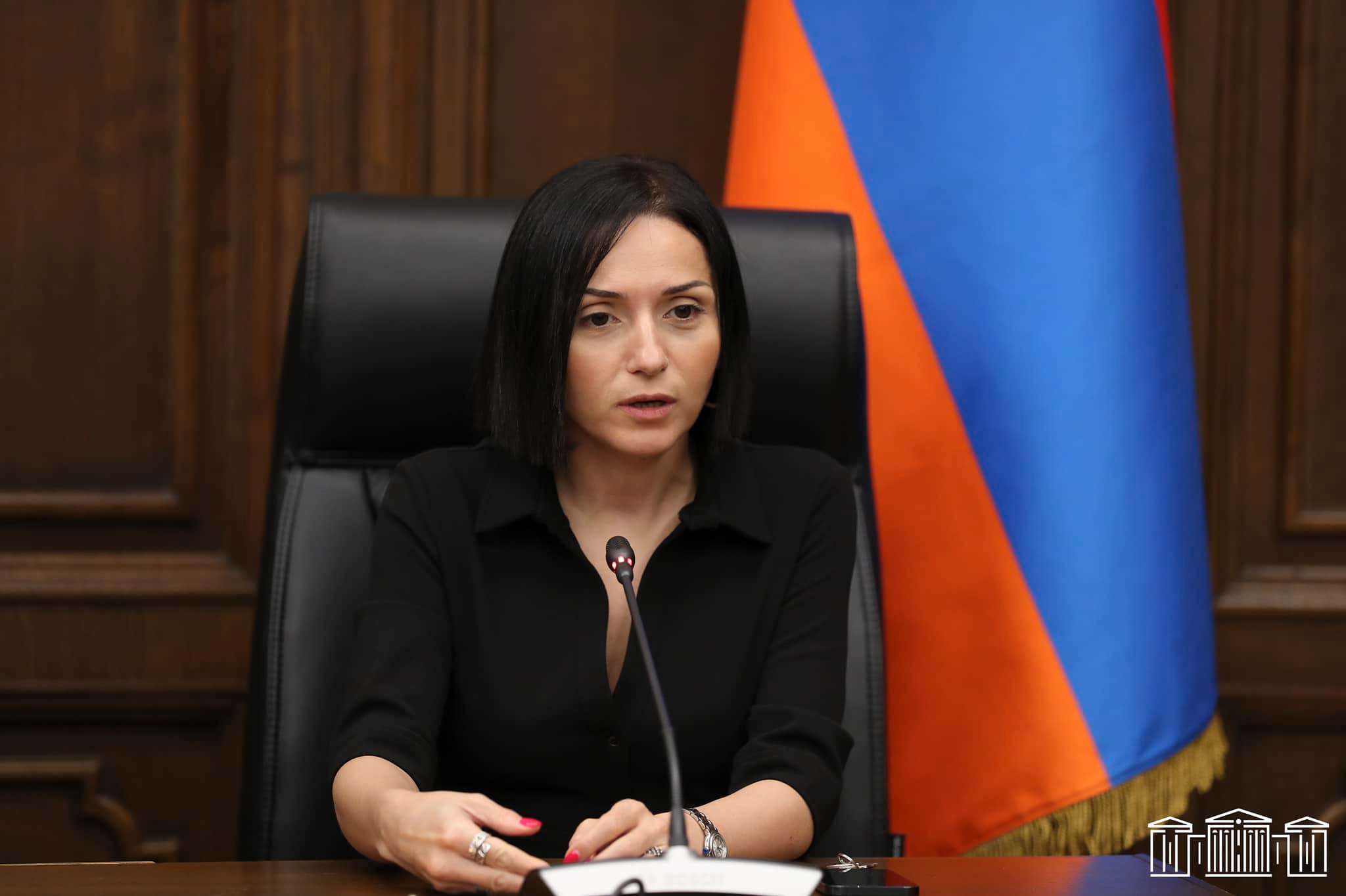Օվերչուկը պետք է ճիշտ գնահատի Հայաստանի իրավիճակը. Ծովինար Վարդանյան