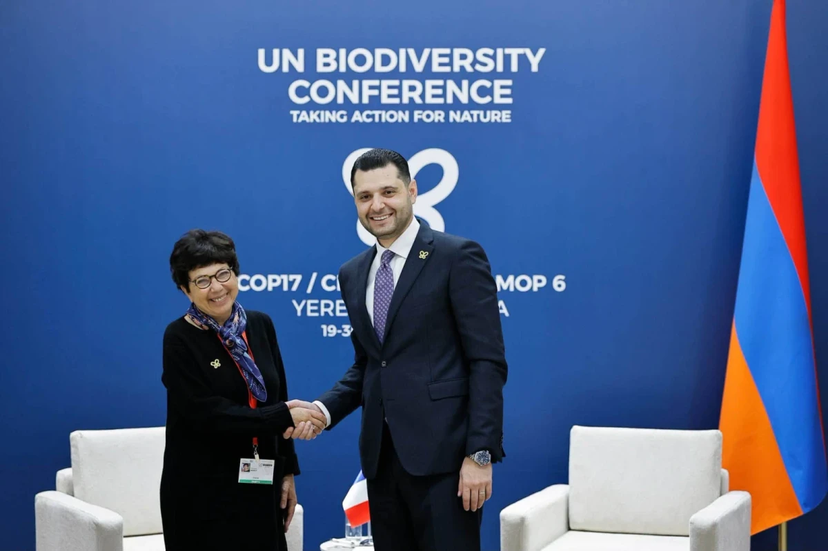 Քննարկվել են COP17-ի բանակցային օրակարգի առանցքային հարցերը