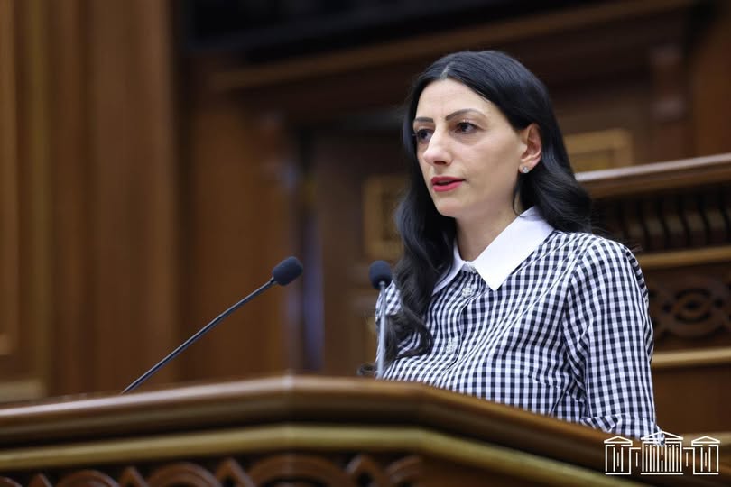 Երեխաների նկատմամբ սեռական բռնությունը մարդու իրավունքների ոլորտի ամենածանր և վտանգավոր խնդիրներից է և պահանջում է պետության անհապաղ ու համակարգային արձագանք