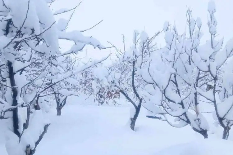 Սպասվում է ձյուն
