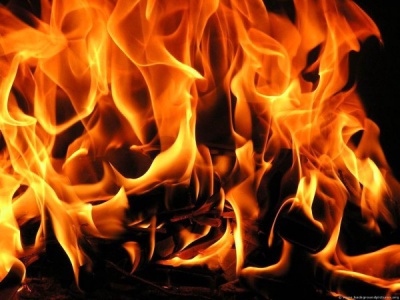 Խակասիայում թոռանը ջեռոցում այրելու համար պապն ու տատն ազատազրկվել են