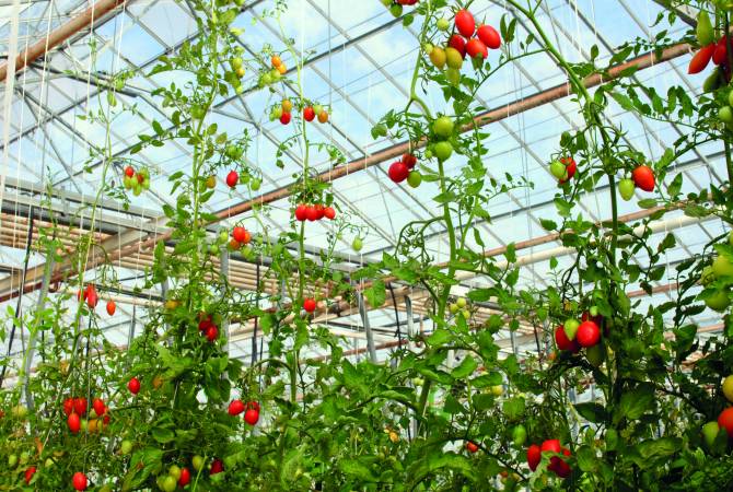 Երևանում կկայանա hայ-իսպանական ագրոարդյունաբերական ֆորումը