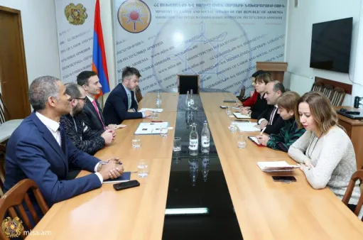 ԵԽ պաշտոնյայի հետ քննարկվել է ԼՂ տեղահանված անձանց աջակցության ծրագրերի ընդլայնման հնարավորությունը