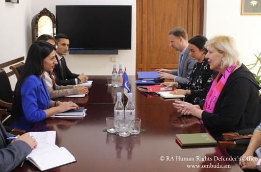 ՄԻՊ-ը ընդունել է Դունյա Միյատովիչին. քննարկվել են բռնահանվածների իրավունքների պաշտպանության հարցեր