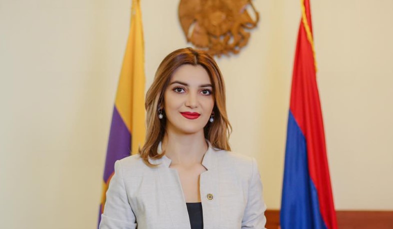 Դիանա Գասպարյանի բնակարանը խուզարկել են, «ոչինչ չեն գտել». խոսնակ